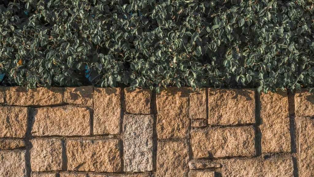 retaining wall cost
