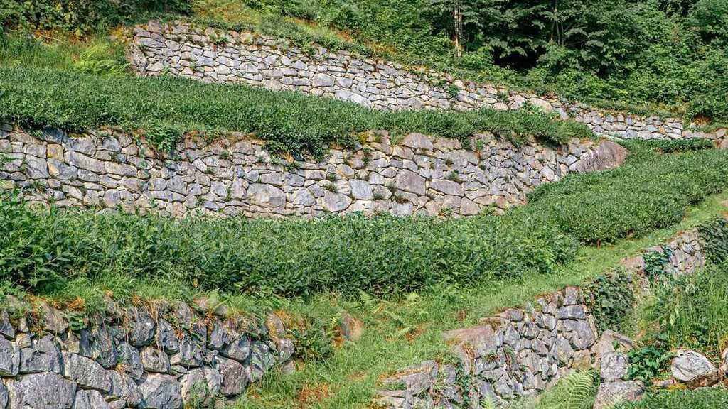 Retaining Wall Cost Changes the Moment It Passes Four Feet
