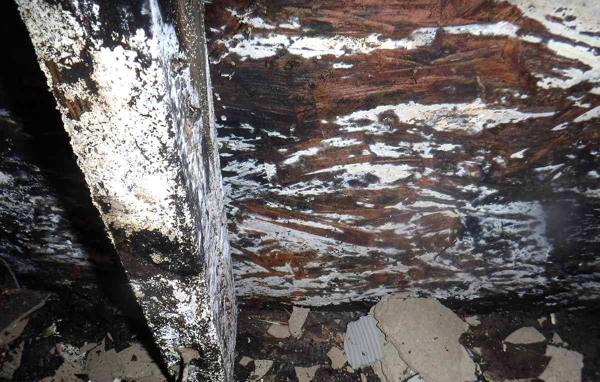 subfloor replacement cost